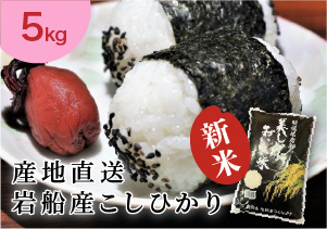 iwa_koshi5