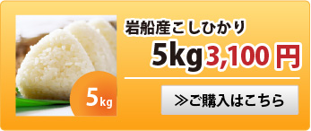 岩船産こしひかり5kg