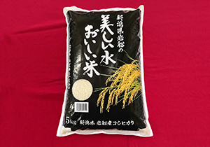 新潟岩船産こしひかり